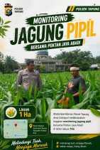 Bhabinkamtibmas Polsek Tapung Monitoring Tanaman Jagung Bersama Poktan Jaya Abadi di Desa Indrapuri