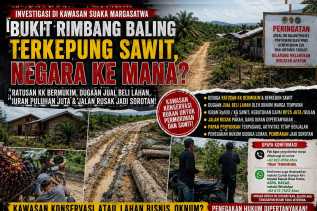 Negara ke Mana? Papan Larangan Berdiri, Sawit Terus Merajalela di Kawasan Suaka Margasatwa Bukit Rimbang Baling