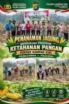 Dukung Swasembada Pangan 2026, Kapolsek Kampar Kiri Bersama Kelompok Tani Toeroba Berkah Tanam Jagung di Desa Kuntu