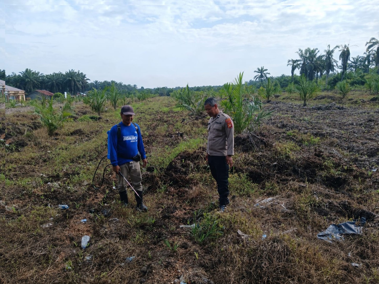 BHABINKAMTIBMAS DESA SUMBER MAKMUR DAMPINGI PETANI LAKUKAN PERAWATAN TANAMAN JAGUNG DUKUNG PROGRAM SWASEMBADA PANGAN