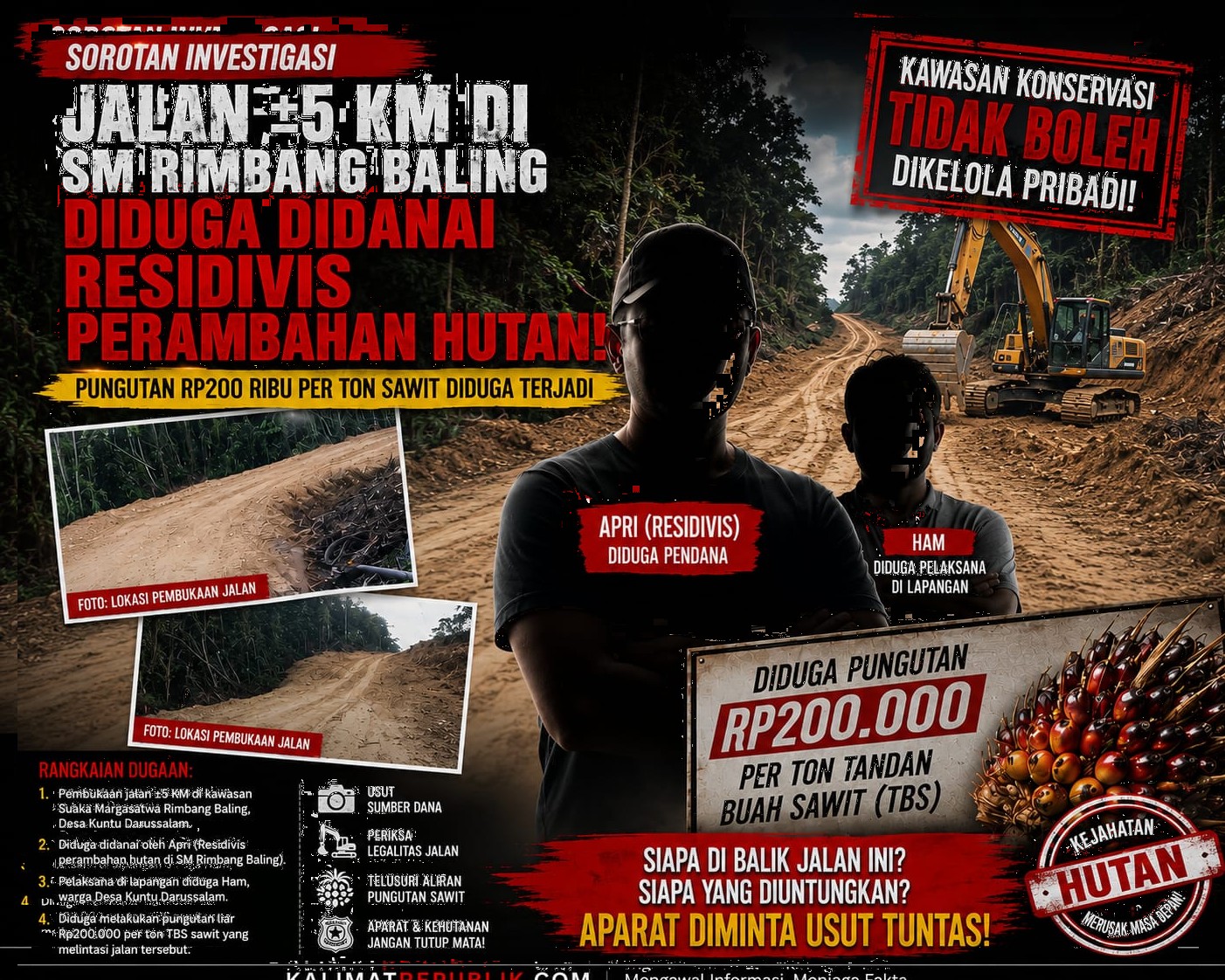 Jalan ±5 Kilometer Membelah SM Rimbang Baling, Diduga Didanai Residivis Perambahan Hutan dan Disusul Pungutan Rp200 Ribu per Ton Sawit