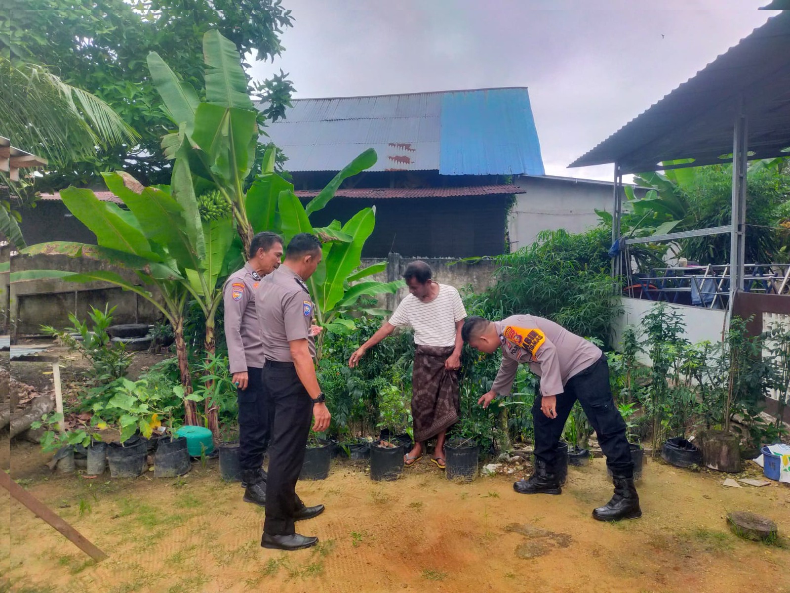 Polsek Kampar Kiri Hilir: 'Polisi Cinta Petani' Program Pekarangan Pangan Bergizi di Desa Bina Baru