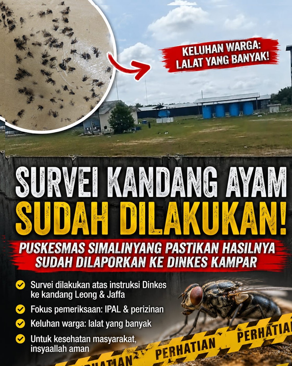 Survei Dinkes Selesai, Keluhan Wabah Lalat Masih Muncul di Simalinyang; Warga Tunggu Hasil Pemeriksaan Resmi Instansi Terkait