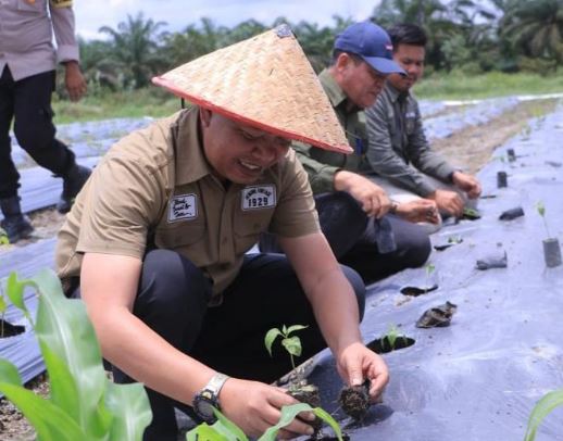 Manfaatkan Pekarangan Rumah, Sekda Pekanbaru Dorong Seluruh Masyarakat Lawan Inflasi