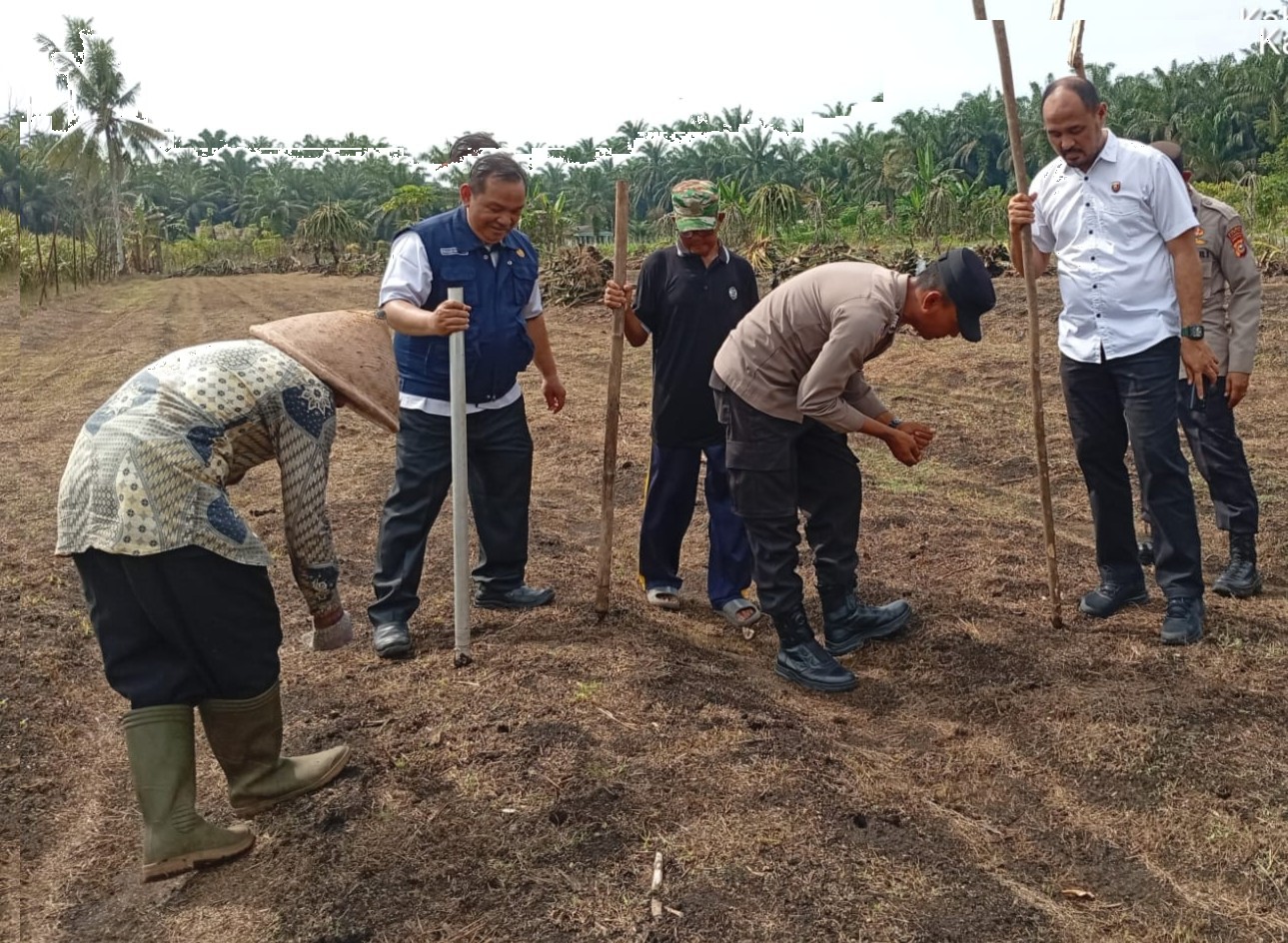 Kapolsek Kampar Kiri Hilir Pimpin Penanaman Jagung Pipil Sistem Tumpang Sari, Dukung Ketahanan Pangan !!!