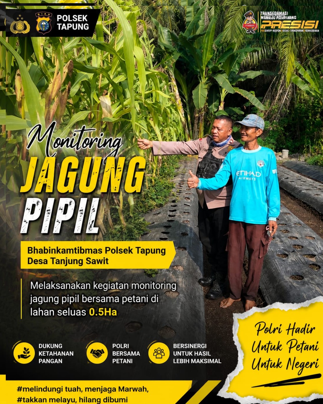 Bhabinkamtibmas Polsek Tapung Monitoring Tanaman Jagung di Desa Tanjung Sawit