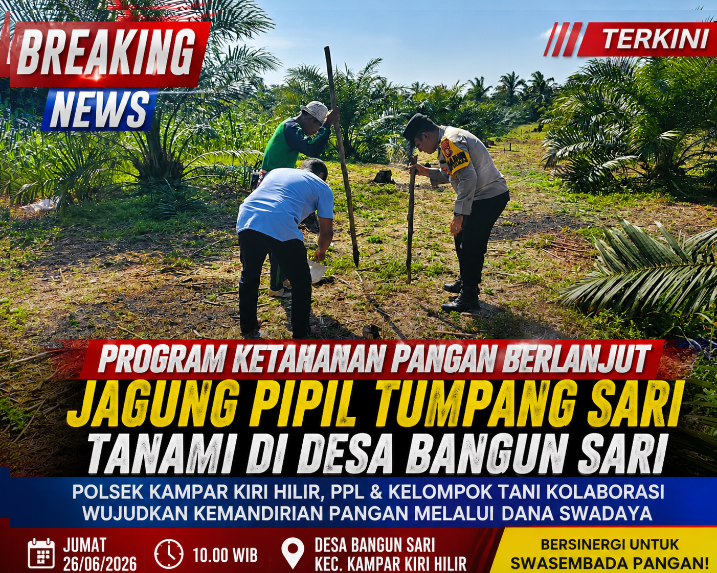 Program Ketahanan Pangan Berlanjut, Polsek Kampar Kiri Hilir Tanam Jagung Pipil Tumpang Sari di Desa Bangun Sari