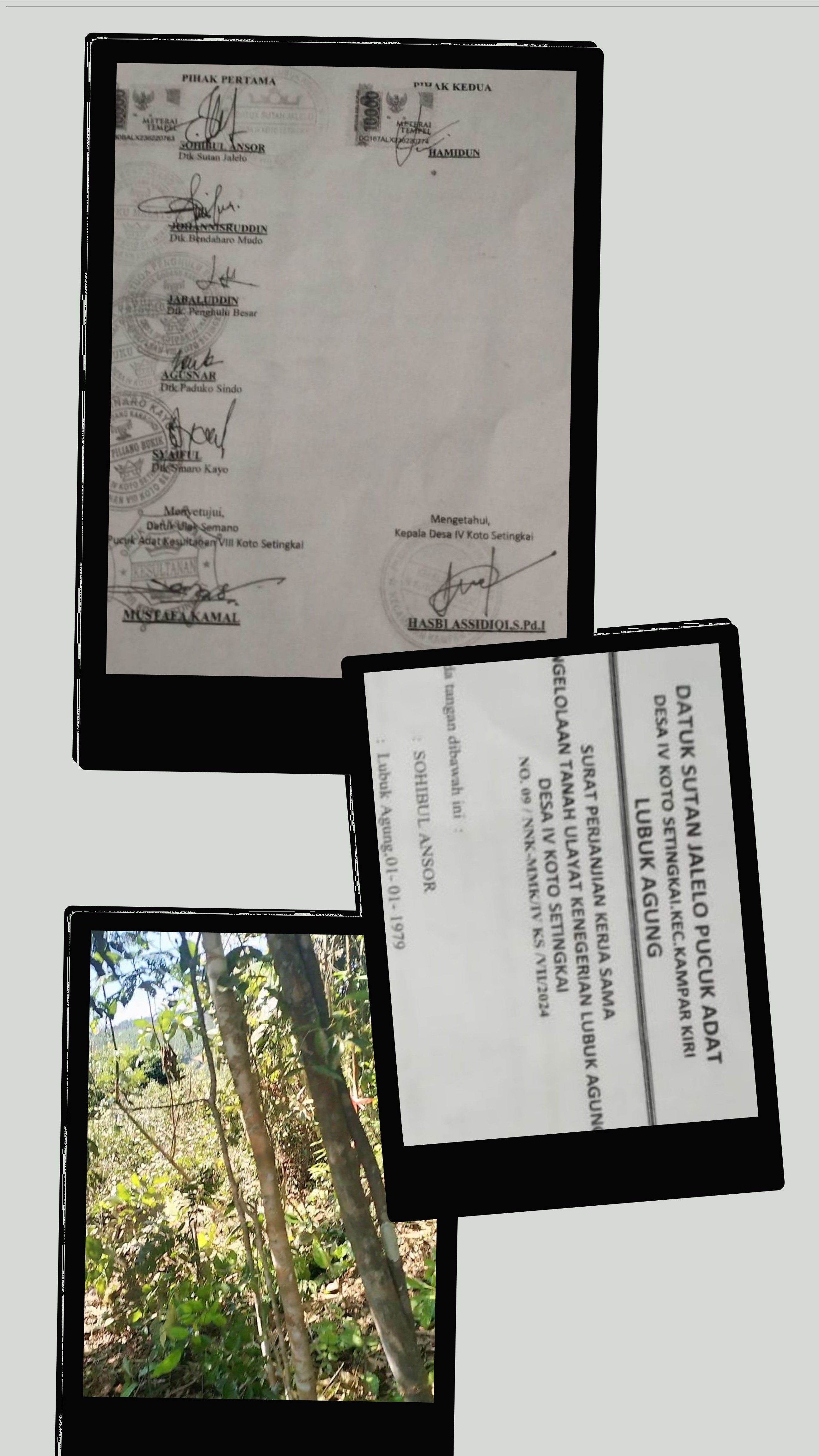 Perjanjian Tanah Ulayat Kenegerian Lubuk Agung: Terindikasi Bungkam Pers dan Dugaan Pengabaian Hak Masyarakat! 