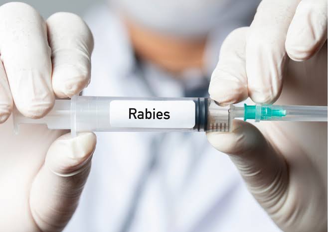 Digelar Besok, Vaksinasi Rabies Massal Dipusatkan di Kantor Camat Kulim
