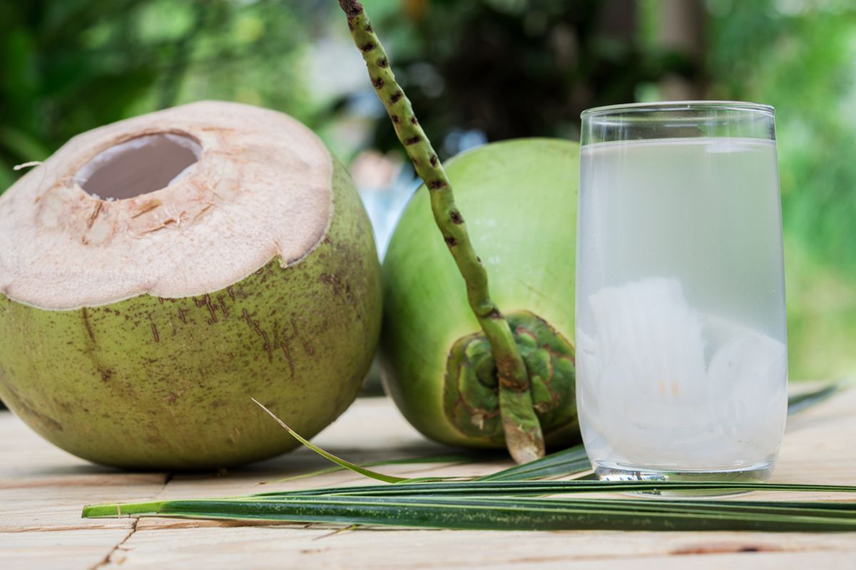 Sehat Alami dengan Konsumsi Air Kelapa, Berikut Manfaatnya.....