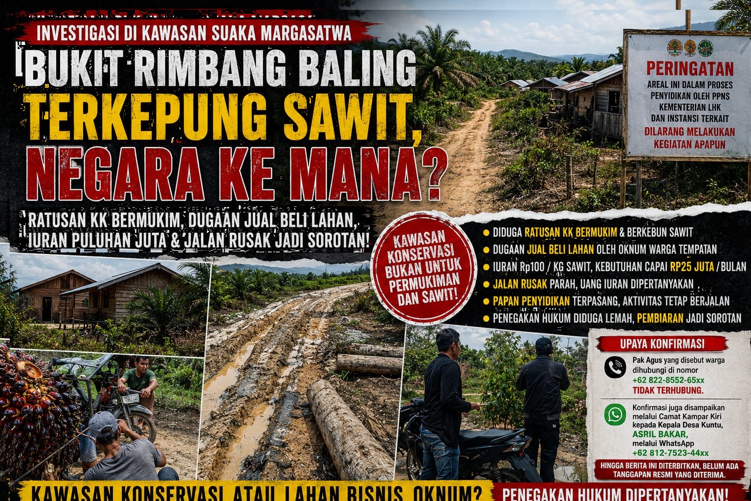 Negara ke Mana? Papan Larangan Berdiri, Sawit Terus Merajalela di Kawasan Suaka Margasatwa Bukit Rimbang Baling