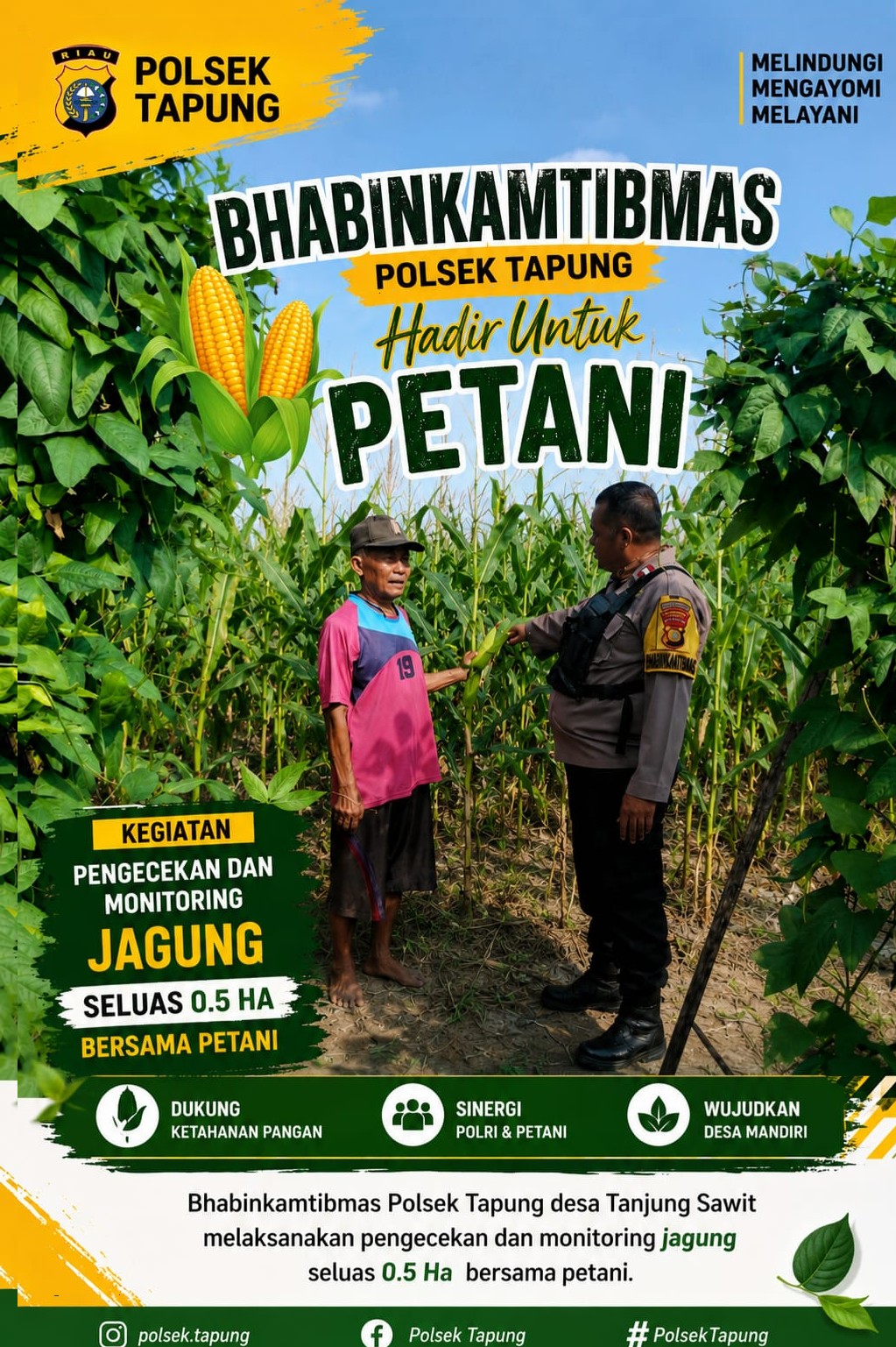 Bhabinkamtibmas Polsek Tapung Monitoring Pertumbuhan Jagung Seluas 0,5 Hektare di Desa Tanjung Sawit