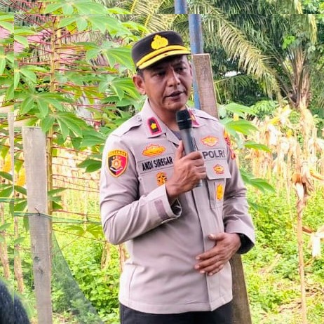 Polsek Kampar Kiri Berhasil Laksanakan Panen Raya,Hasil Dijual Ke Bulog