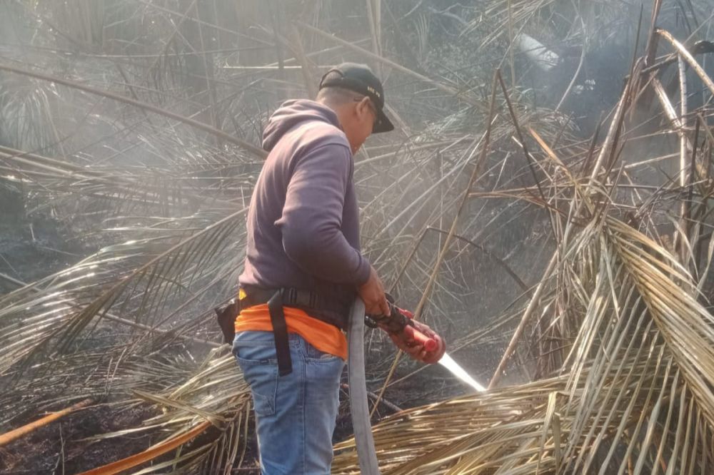 BPBD Riau Siapkan Bantuan Untuk Atasi Karhutla di Meranti