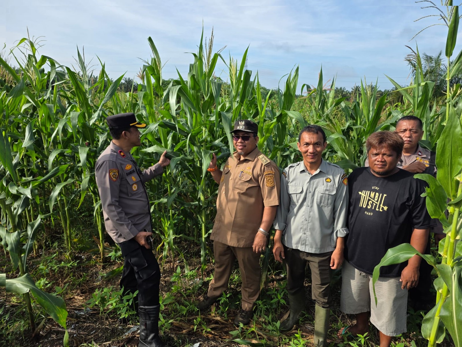 KAPOLSEK TAPUNG BERSAMA BPP, KEPALA DESA DAN KELOMPOK TANI LAKUKAN PENGECEKAN LAHAN JAGUNG DUKUNG SWASEMBADA PANGAN