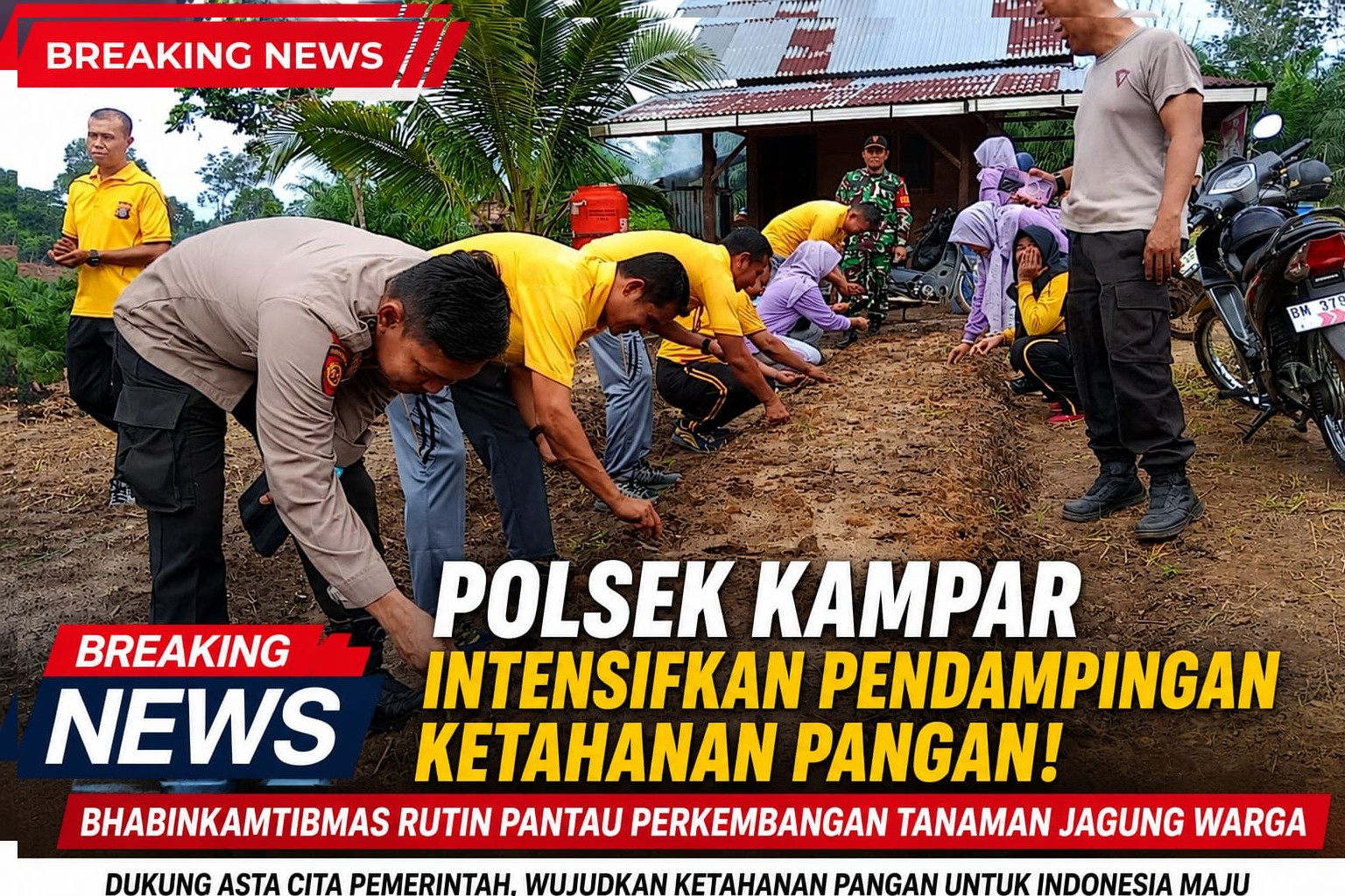 Polsek Kampar Intensifkan Pendampingan Ketahanan Pangan, Bhabinkamtibmas Rutin Pantau Tanaman Jagung Warga